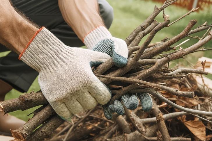 The Cost Of Tree Felling & Removal Near You Might Surprise You ...